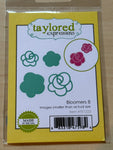 GS-Taylored Expressions Rose dies