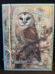 Birthday-Cherish Owl