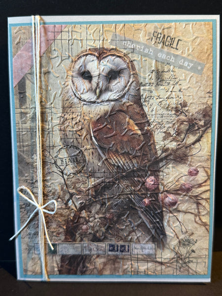 Birthday-Cherish Owl