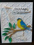Thanks-Colorful Bird