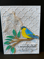 Birthday-Colorful Bird